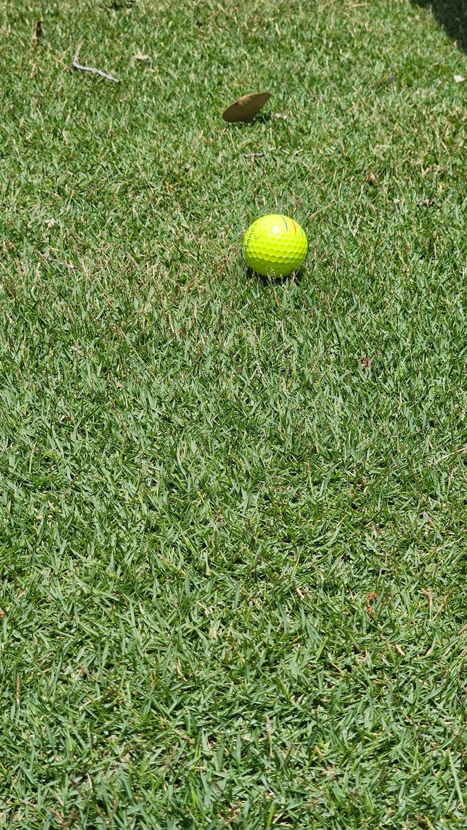 TurfMamba's tweet image. I want to thank @doguetdavid for taking the time to show us the incredible Zoysias at @bladerunnerfarm.