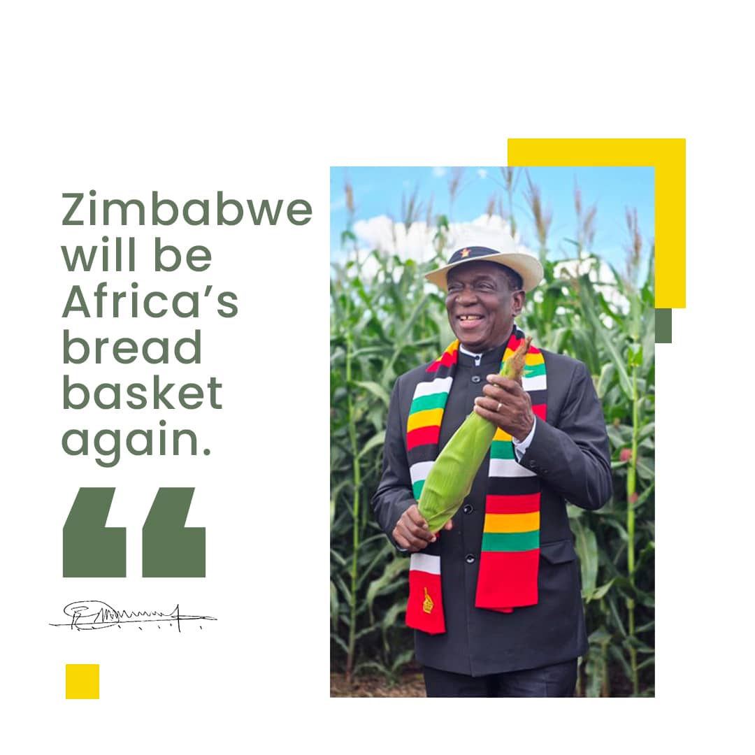 Joyce_Waterfall's tweet image. President Mnangagwa is both an accomplished farmer and a mentor, leading by example in agriculture and governance. @edmnangagwa
