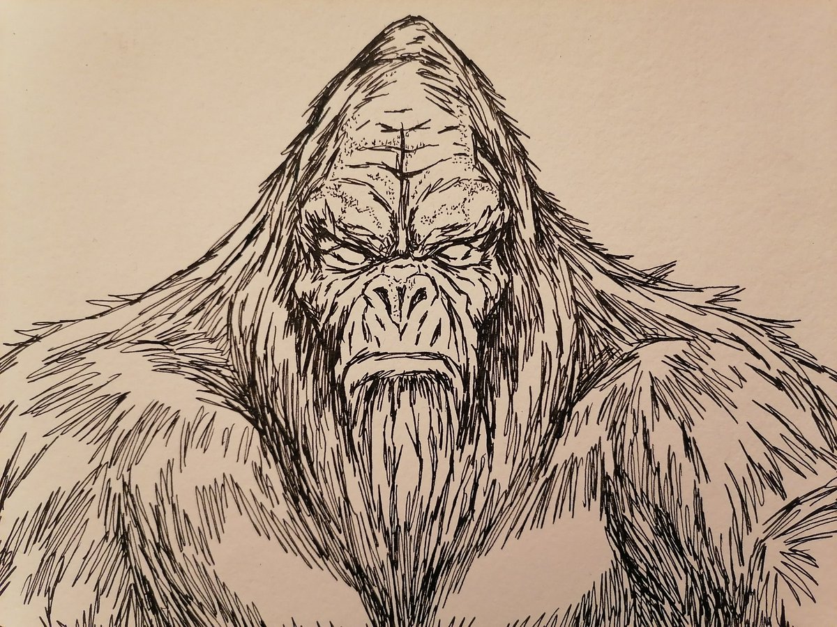 docwestlake1984's tweet photo. I've decided to submit some artwork to be considered for a forthcoming book being created by @darkcornwall . The book has the theme of Cornish folklore and I'm drawing a Woodwose. These creatures are the Cornish variety of bigfoot. #woodwose #cornwall #cornwallfolklore #bigfoot https://t.co/ppit2hrNZi