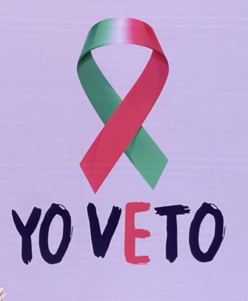 No votaré , yo vetaré con mi abstención la farsa de la deforma judicial , no avalaré la destrucción y corrupción del poder judicial. Cualquier persona sensata sabe que la justicia no necesariamente será popular, la justicia debe de ser apegada a derecho !