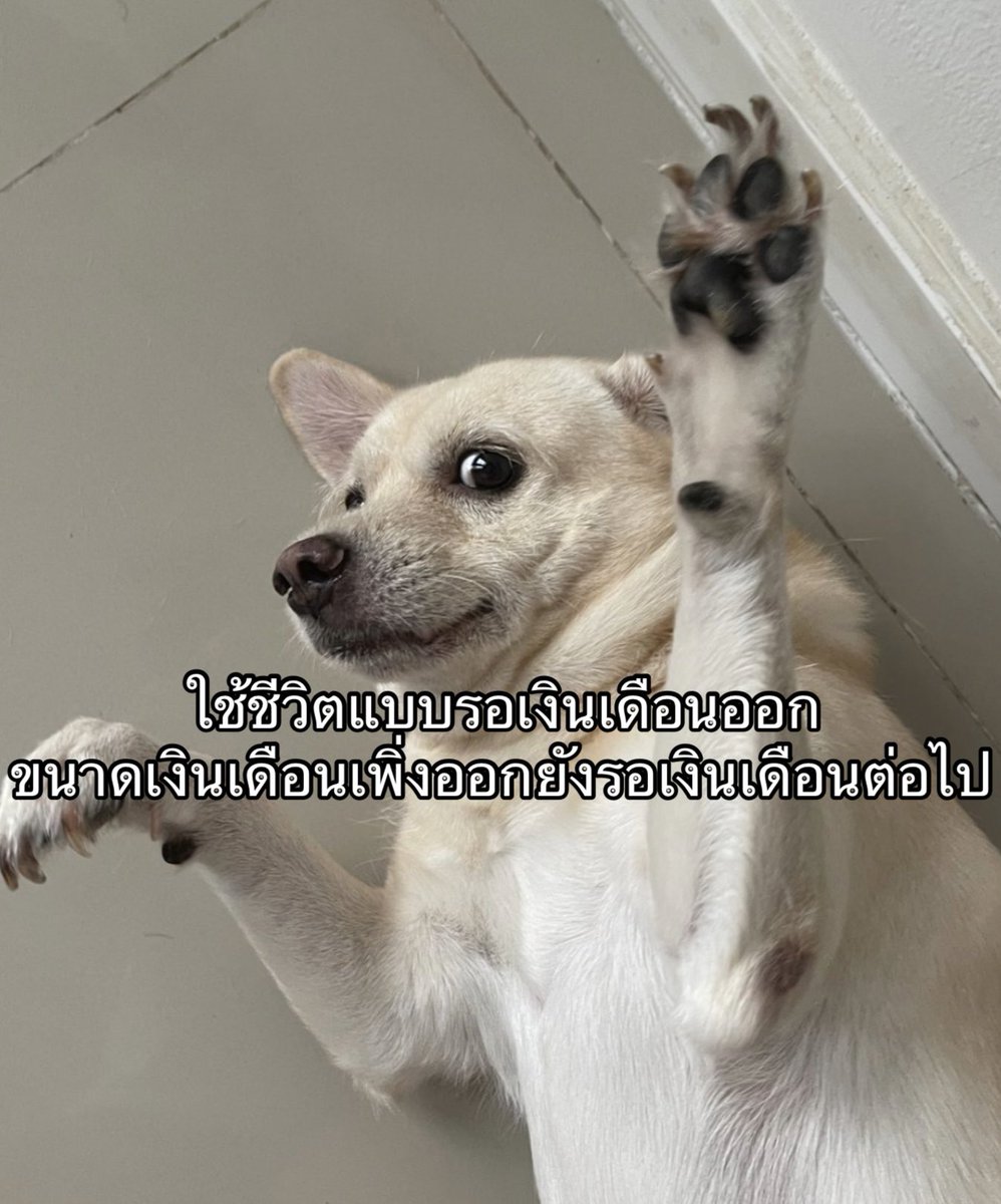 IMeSayIt's tweet photo. เป็นบัญชีม้า เงินเข้าแล้วออกเลย https://t.co/lVMfR8i6BE