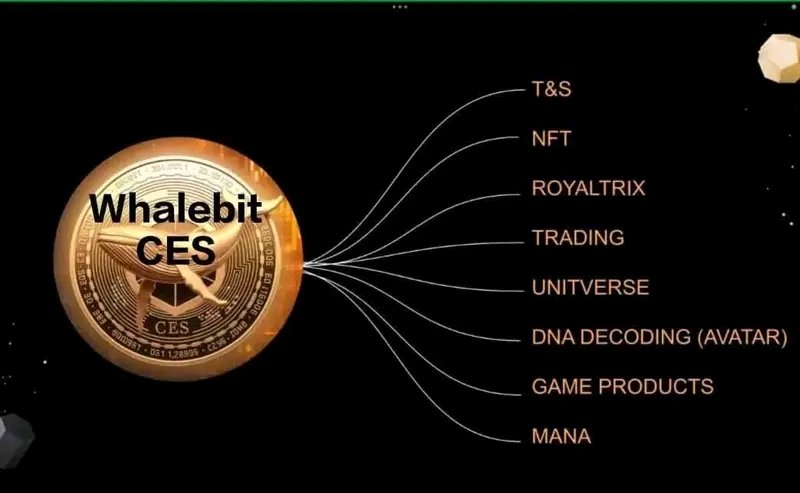 Business_Mudhun's tweet image. Business of the 21st century ❤️🔥
So many earning platforms in one ecosystem METAWHALE 🐋

Join the whales 🐋 
t.me/Metawhale_Mudh…
.
#metawhale #metaforce #holiverse #money #crypto #Bitcoin #trading #linkinbio #NuNew