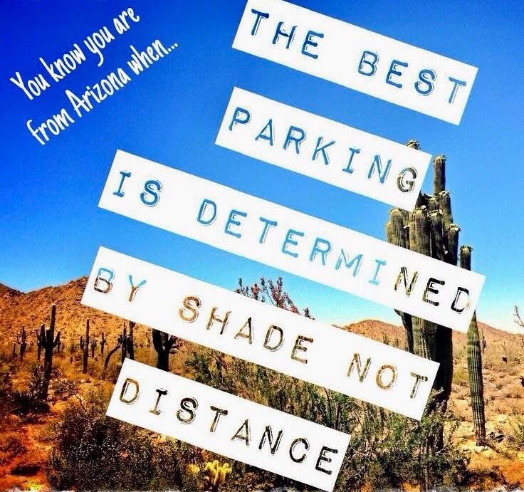 GarrettSch37828's tweet photo. Shade solutions is our expertise! 
See what we have to offer at https://t.co/bBj573YaMd, or give us a call at (520) 445-2699. Together we can beat the heat! ☀️
#carports #BeatTheHeat #ShadeSolutions #CustomMade https://t.co/3FhHusSIQY