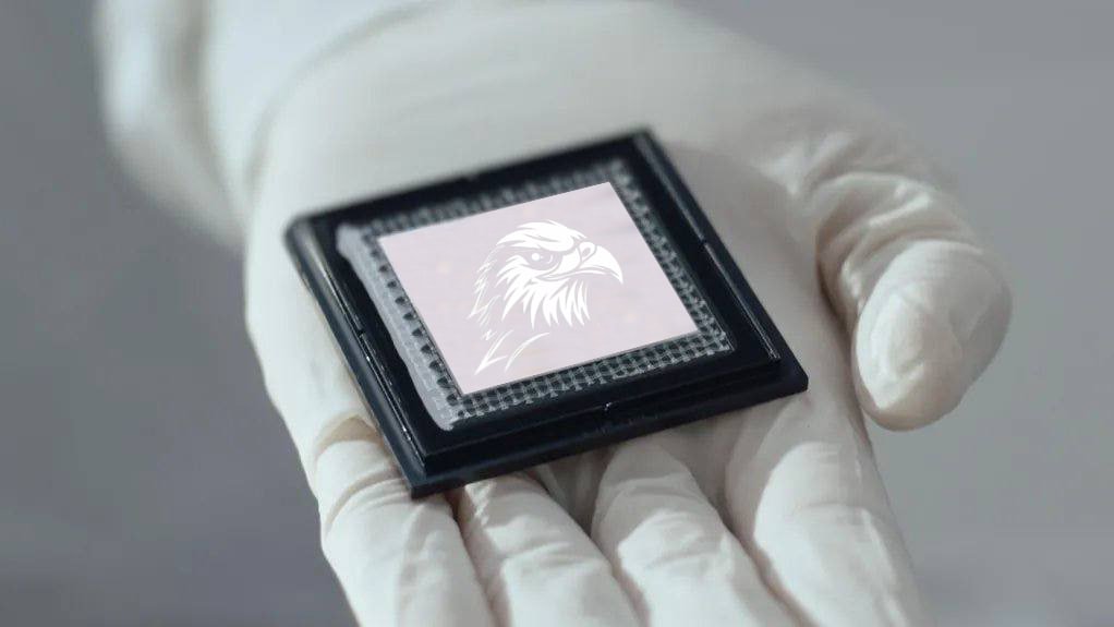 DeepThought_Lab's tweet image. Congrats to the QOM community on QL1&apos;s 1st anniversary! 

From Deep Thought Computer, your trusted partner, we celebrate your passion &amp;amp; success. 

Together, we push quantum innovation forward. Here&apos;s to more milestones! #QOM / @QomLOne