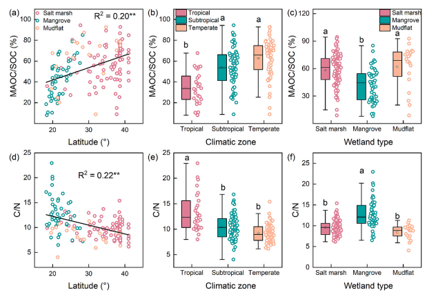 DanielOuyang's tweet photo. Want to know fractions of sediment organic #carbon in different coastal #wetlands and the driving factors? Read our new paper
https://t.co/WZ0CCweX4x https://t.co/19XlDhD0Ue