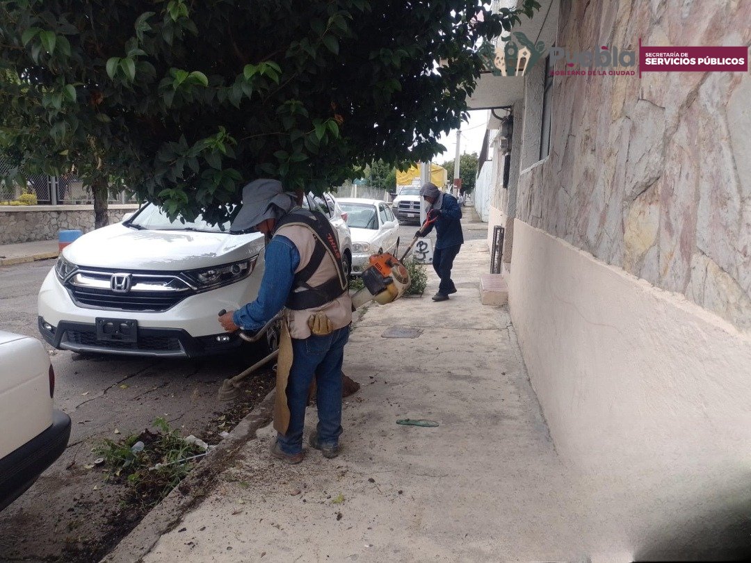 Servicios_Pub's tweet photo. ¡En la colonia #GabrielPastor nos pusimos guapos! 💪🌿

En la 37 poniente le dimos a la poda 🌳 limpieza 🧹y buen mantenimiento para que las calles luzcan al 💯. 😎

#LaCapitalImparable 🪽 https://t.co/F0W2yaxvJn