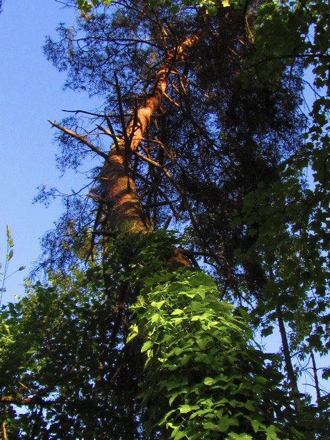 Caait.g (@caaitg) on Twitter photo 