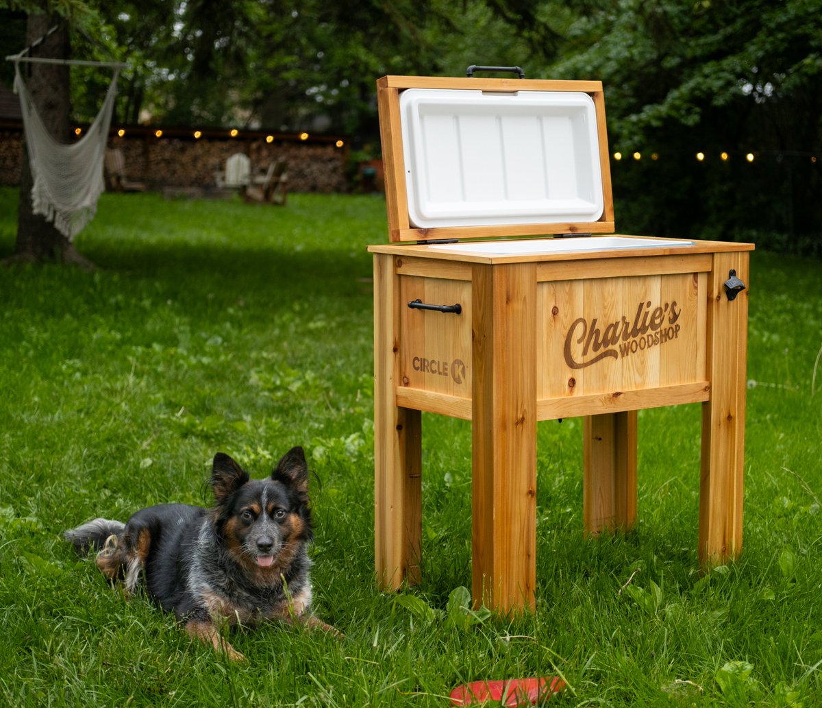 Chocolate Charlie tweet media