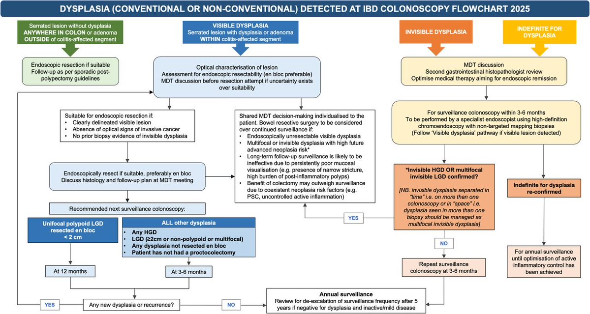 Gut Journal (@gut_bmj) on Twitter photo New #BSGGuideline #GUTGuideline by Prof James East et al entitled
"British Society of Gastroenterology guidelines on colorectal surveillance in inflammatory bowel disease" via
bit.ly/43vCqlB
<a href="/drmorrisgordon/">Morris Gordon</a> <a href="/ShahidaDin1/">DrShahidaDin</a> @DrChrisLamb <a href="/anjan_dhar6/">Anjan Dhar</a> @sdolwani <a href="/DrBuHayee/">Feline_stockholm_syndrome</a> New #BSGGuideline #GUTGuideline by Prof James East et al entitled
"British Society of Gastroenterology guidelines on colorectal surveillance in inflammatory bowel disease" via
bit.ly/43vCqlB
<a href="/drmorrisgordon/">Morris Gordon</a> <a href="/ShahidaDin1/">DrShahidaDin</a> @DrChrisLamb <a href="/anjan_dhar6/">Anjan Dhar</a> @sdolwani <a href="/DrBuHayee/">Feline_stockholm_syndrome</a>