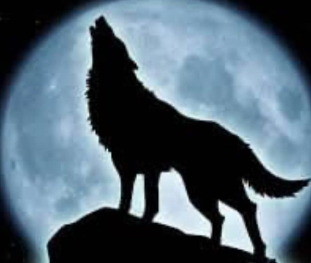 🇹🇷🇹🇷🇹🇷ES SELAMUN ALEYKÜM🇹🇷🇹🇷
🇹🇷🇹🇷🇹🇷🇹🇷 Hayırlı sabahlar 
🇹🇷🇹🇷Hayırlı günler
🇹🇷🇹🇷🇹🇷🇹🇷 ALLAH HIN RAHMETİ 
🇹🇷🇹🇷BEREKETİ ÜZERİMİZE OLSUN