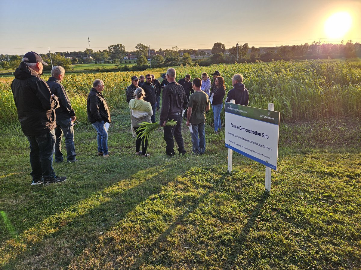 Scott Anderson tweet media