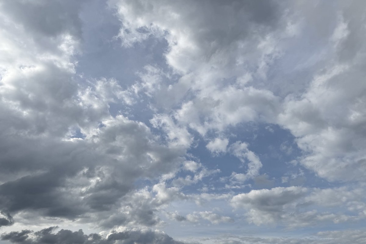 Sam Oldenburg tweet media