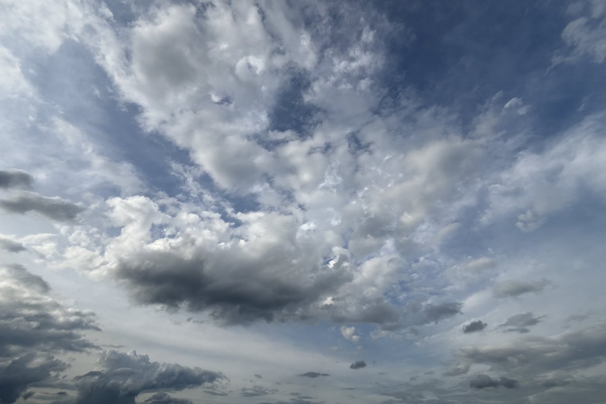 Sam Oldenburg tweet media