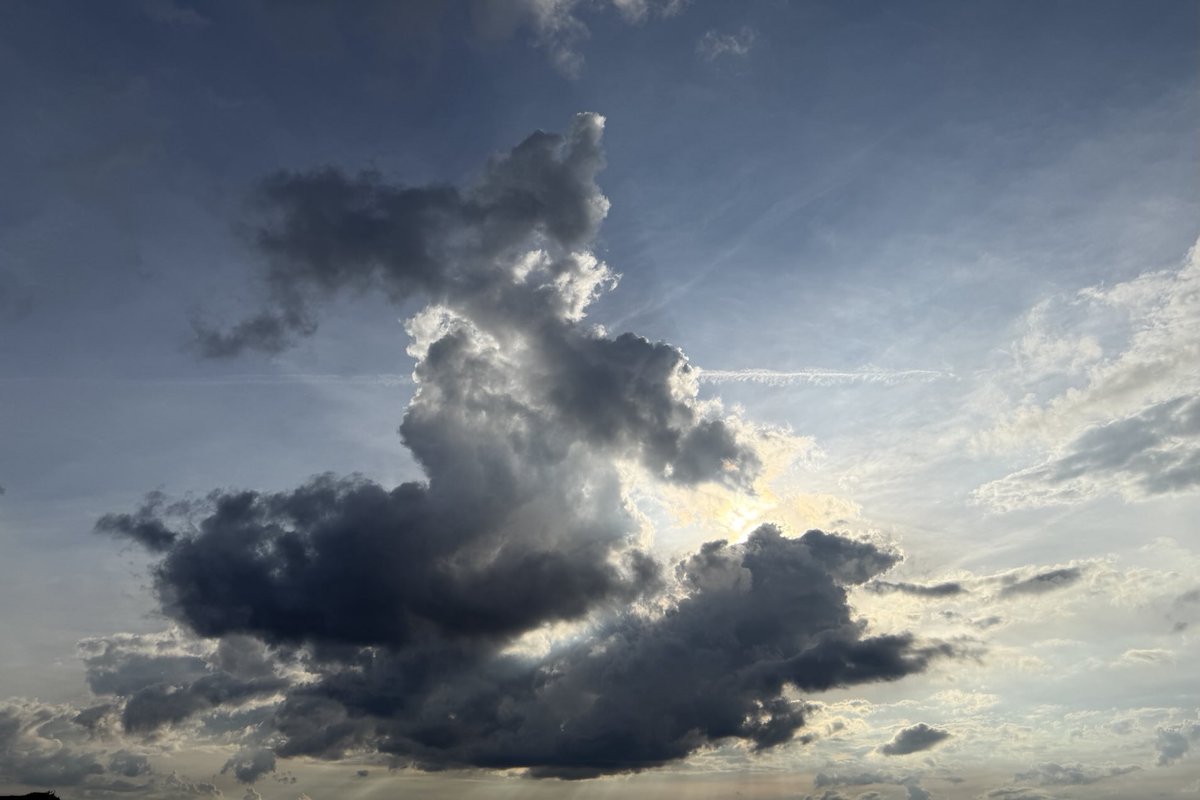 Sam Oldenburg tweet media