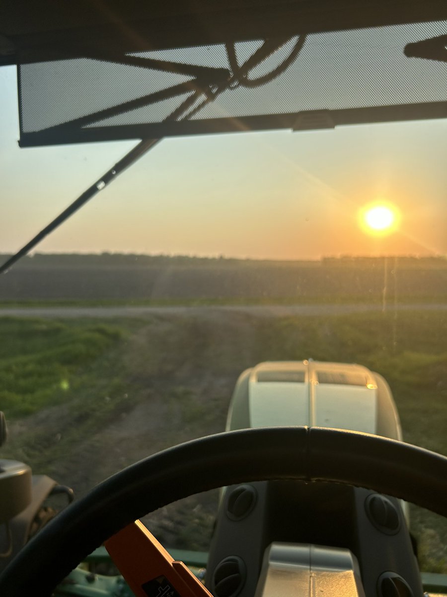 An absolutely lovely evening to finish #plant25 the crops that are up look beautiful! On to #grow25
