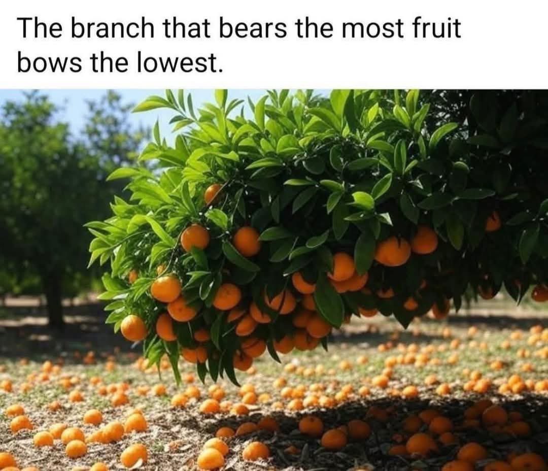 autocorrect2.0 (@autocorrect2_0) on Twitter photo 