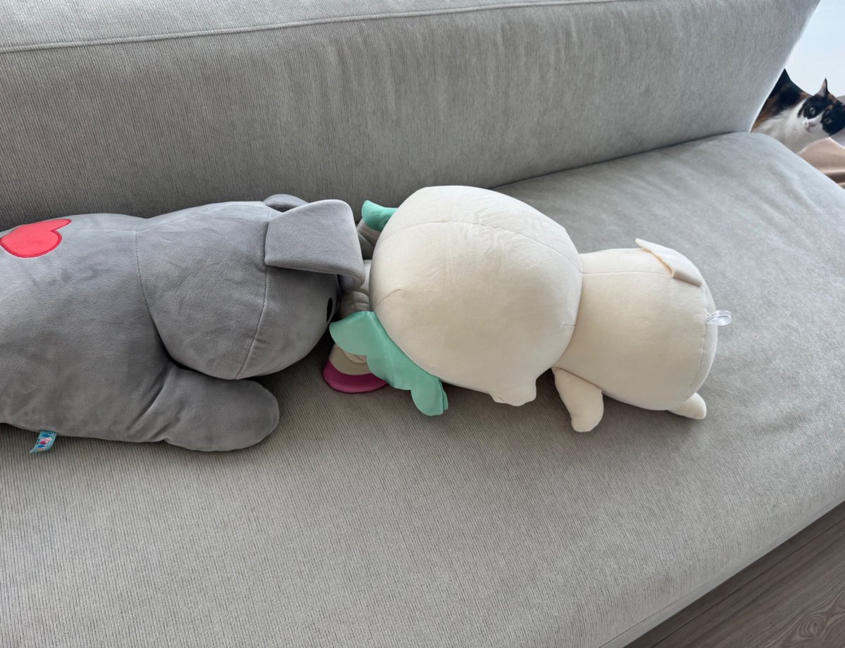 ﾅﾝﾀﾞｺﾚ？(シャチ)