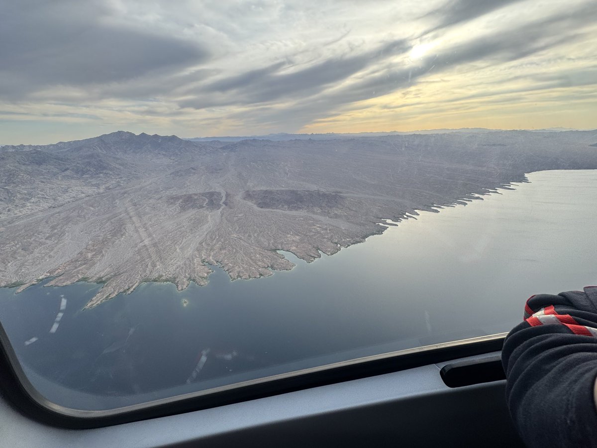 The Tortured Powerlifters Department tweet media