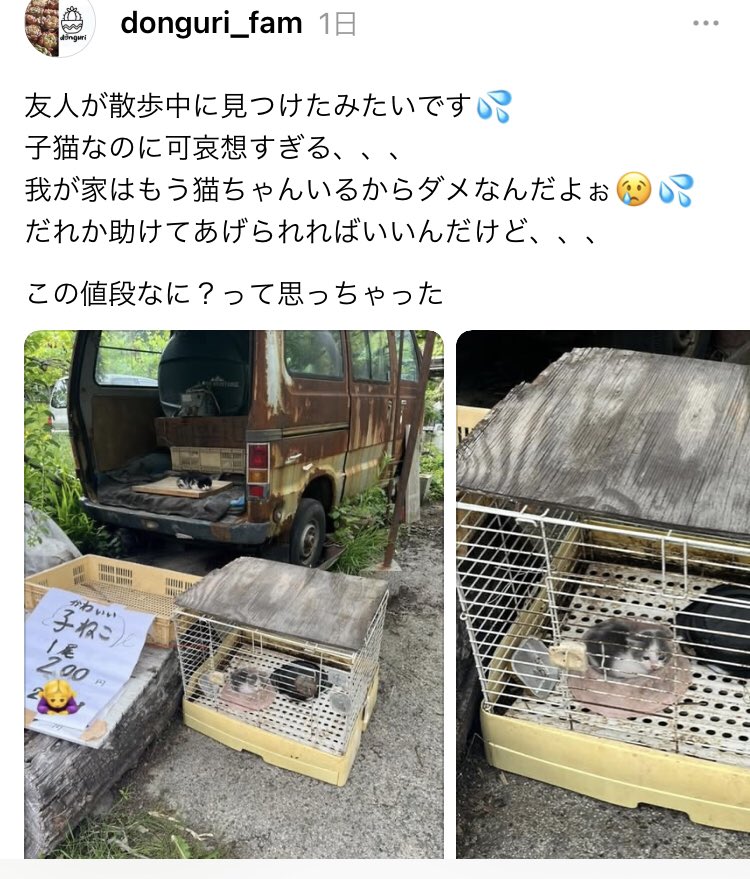 IMgi9x4ieY0KBhM's tweet photo. これ日本
警察と保護団体さんに連絡されて
るらしいけど
ありえない、、、

https://t.co/vqPED7J7yh https://t.co/ynJoRJtn6r