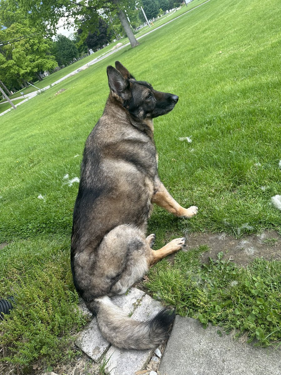 …I’m still here, I just keep forgetting to peep in here and I’m currently working on projects atm. <3

Here, have a Frey. :)