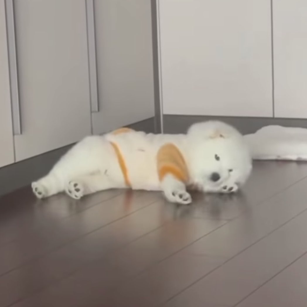 ก้แค่ผ้าขี้ริ้ว เก่าๆ