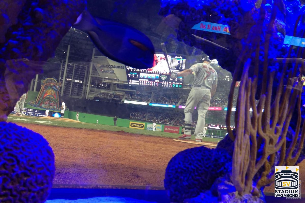 StadiumVagabond's tweet photo. Opening Day at Marlins Park (now LoanDepot Park), 4/4/12.
Muhammad Ali threw out the first pitch.
Since then, Derek Jeter removed the iconic Red Grooms HR sculpture &amp; fish tank behind home plate.

#MarlinsPark #MLBThrowback #marlins #marlinsbeisbol #MuhammadAli #BaseballArt #WBC https://t.co/IdcOhWgfkr