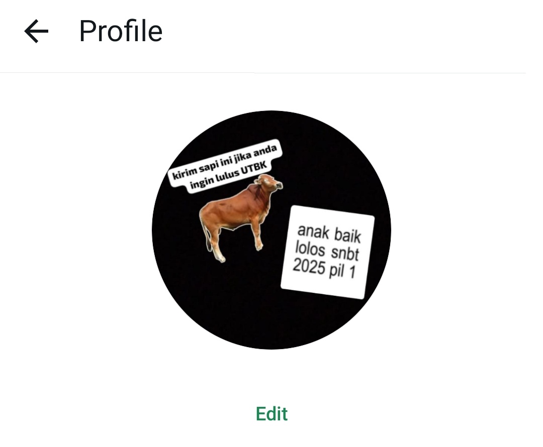 trnyta... aku.... kemaren... ngechat kating.... pp wa ku MASIH BEGINI 😭😭😭😭😭😭❓❓❓❓