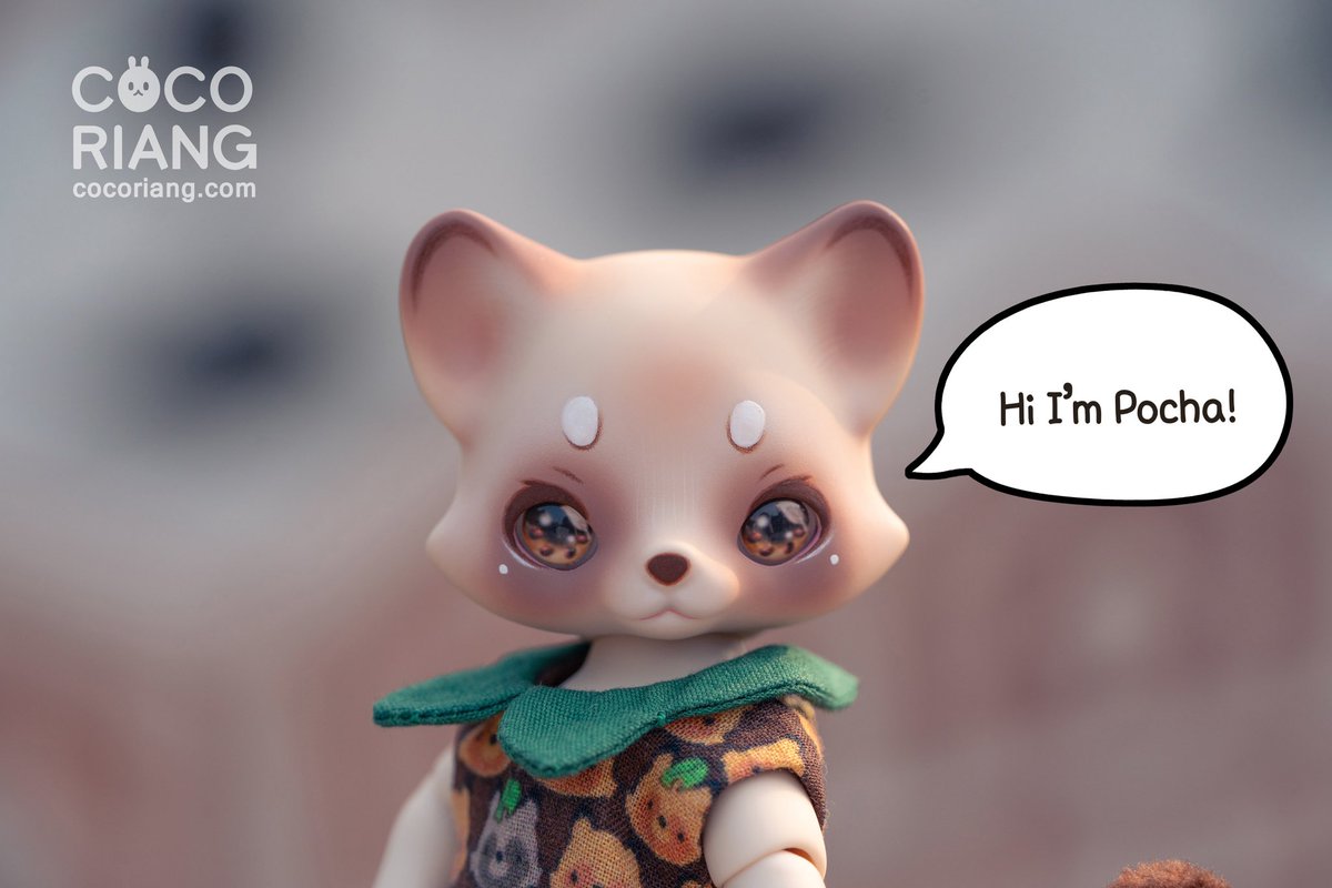 COCORIANG tweet media