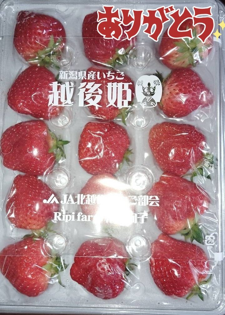 越後姫｜新潟県推進ブランド品目｜公式｜新潟生まれ新潟そだち様
⏩️<a href="/echigohime_ngt/">越後姫 ⎹ 新潟県推進ブランド品目 ⎹ 公式 ⎹ 新潟生まれ新潟そだち⎹</a>

母の日キャンペーンに当選🥳
写真は母撮影です📸

「食感が他の苺と違う、繊細さを感じる…美味しい…よくぞ当ててくれた！」と怒涛のLINEが来ました🍓

母を幸せいっぱいにしてくださりありがとうございました！