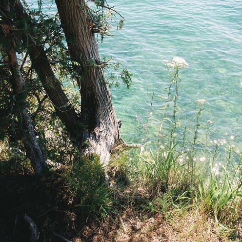 kobyirl's tweet image. #promotwt #moothunt 

- 22 🩷 lesbian
 - fixations: squid game, one piece, genshin, hsr, zzz, wuwa, bsd, aot, kpop, persona 
#anitwt #genshintwt #kpoptwt #sgtwt