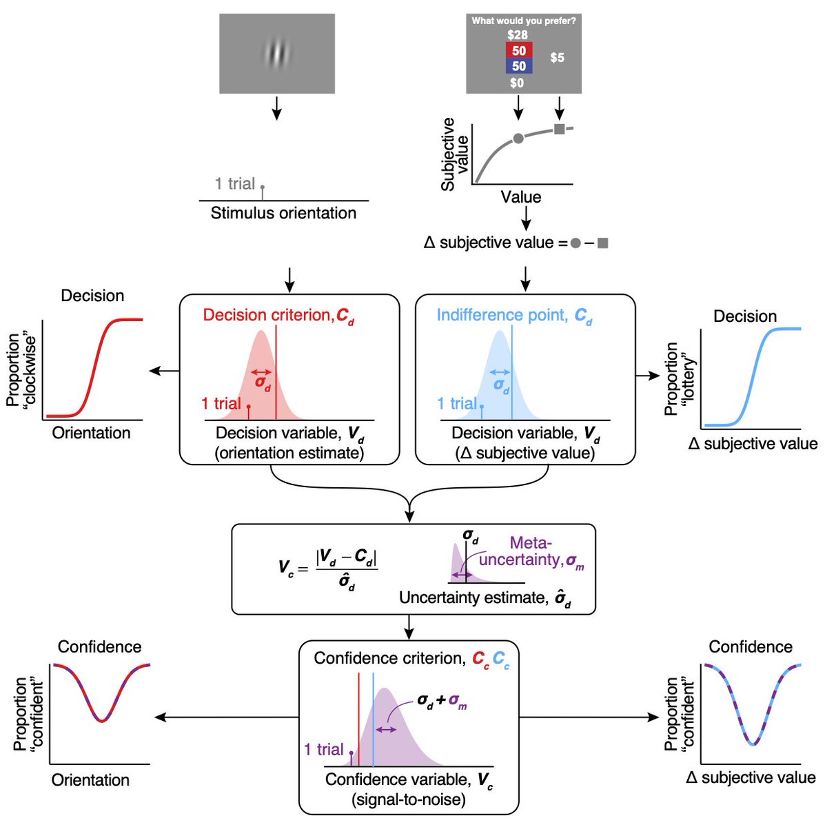 This is difficult to do because economic choices do not have an objectively correct answer. However, by combining utility models and the CASANDRE confidence model we can characterize metacognitive ability for these decisions in the same way we probe it for perceptual choices.