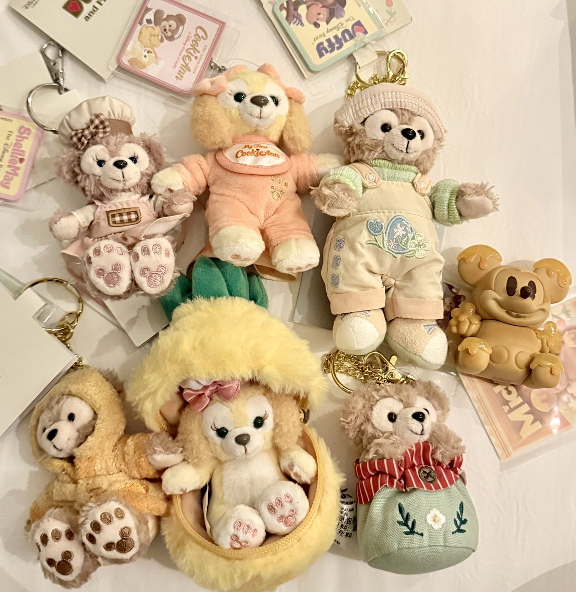 没有人能拒绝 #迪士尼 #雪莉玫 #达菲 #饼饼