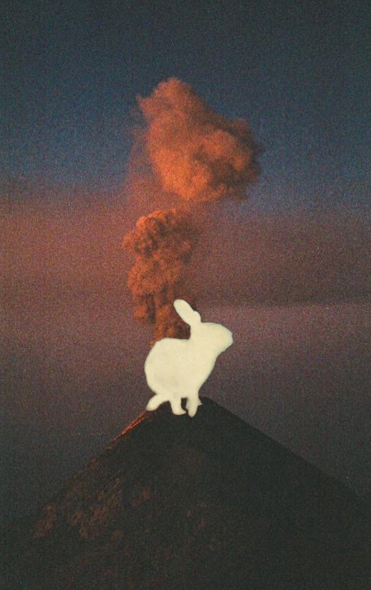 Ø₳₭ ➳ tweet media