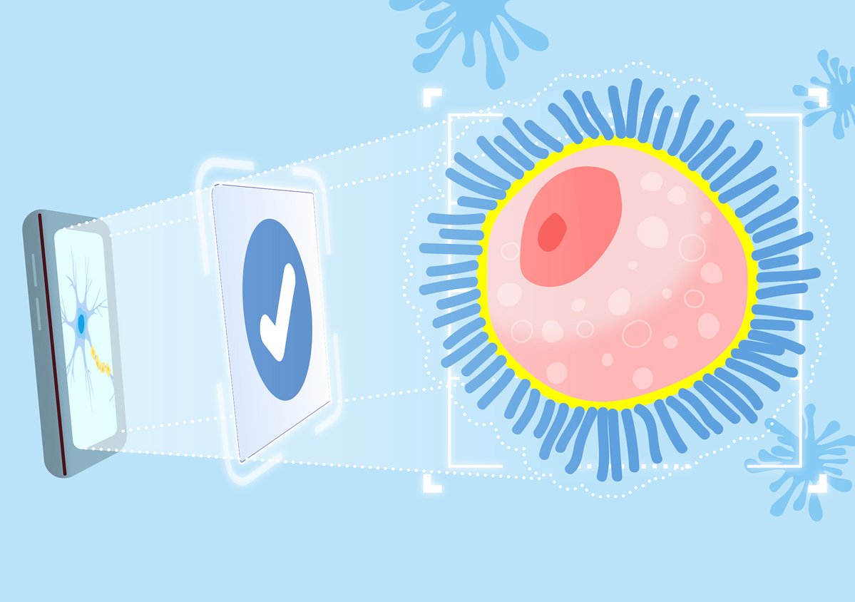 The University of Hong Kong (@hkuniversity) on Twitter photo 👀🩺Computer vision has an important role to play in medical diagnostics. Professor Kevin Tsia (<a href="/kevin_tsia/">Kevin Tsia</a>) recently deployed an AI-driven, ultra-fast imaging tool to speed up cancer diagnosis.
📖Read and 🎧listen now at the #HKUBulletin: bulletin.hku.hk/cover-story-th… 👀🩺Computer vision has an important role to play in medical diagnostics. Professor Kevin Tsia (<a href="/kevin_tsia/">Kevin Tsia</a>) recently deployed an AI-driven, ultra-fast imaging tool to speed up cancer diagnosis.
📖Read and 🎧listen now at the #HKUBulletin: bulletin.hku.hk/cover-story-th…