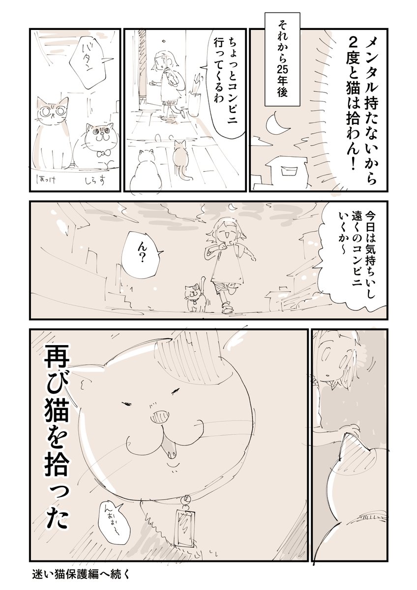 猫を拾ったらメンタルがズタボロになった話 2/13 