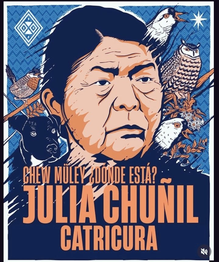 ¿CHEW MÜLEY? ¿DÓNDE ESTÁ? 200 dias de la desaparición de la lamngen Julia Chuñil Catricura!! #DondeEstaJuliaChuñil...