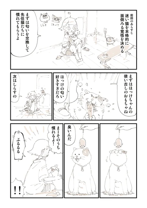 猫を拾ったらメンタルがズタボロになった話 4/13 