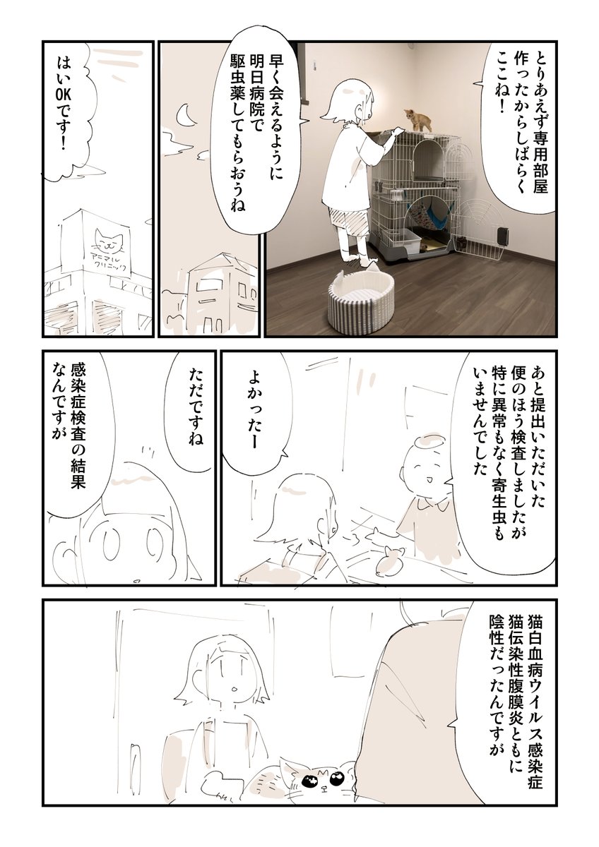 猫を拾ったらメンタルがズタボロになった話 9/13 