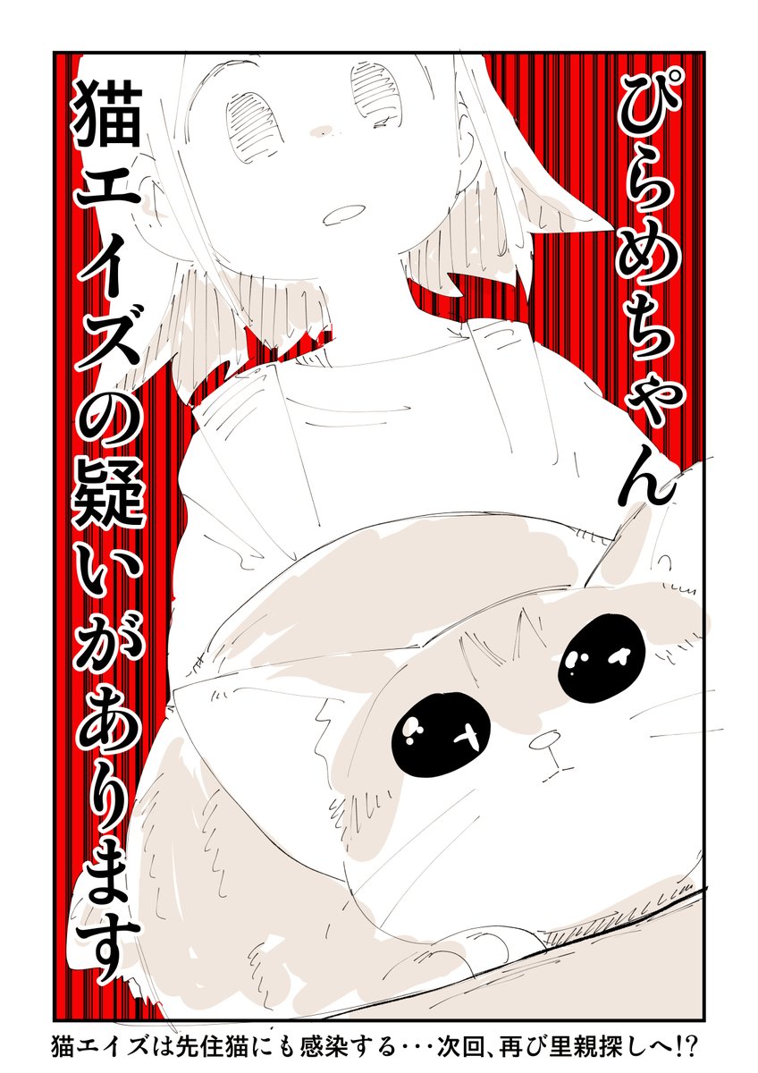 猫を拾ったらメンタルがズタボロになった話 9/13 