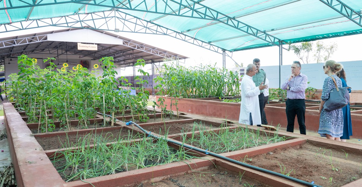 Gareth Wynn Owen (@ukinhyderabad) on Twitter photo Biochar is made from organic waste and helps to enrich soil and increase agricultural productivity. The Biochar Centre of Excellence at Kanha Hyderabad is focused on expanding biochar adoption to support rural livelihoods across 🇮🇳
<a href="/BiocharToday/">Biochar Today</a> <a href="/heartfulness/">Heartfulness</a> <a href="/kamleshdaaji/">Daaji - Kamlesh Patel</a> Biochar is made from organic waste and helps to enrich soil and increase agricultural productivity. The Biochar Centre of Excellence at Kanha Hyderabad is focused on expanding biochar adoption to support rural livelihoods across 🇮🇳
<a href="/BiocharToday/">Biochar Today</a> <a href="/heartfulness/">Heartfulness</a> <a href="/kamleshdaaji/">Daaji - Kamlesh Patel</a>