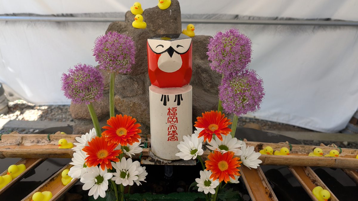 生後50日も過ぎ。ちょっと遅れてお宮まいり
メガネも忙しく、パワフルな3歳児連れも自信がないので子と2人でサクッとご祈祷🙏
切迫早産で入院とかあったけど、今のとこ子も元気で良きかな
来月から仕事本格的に復帰予定💪💪
