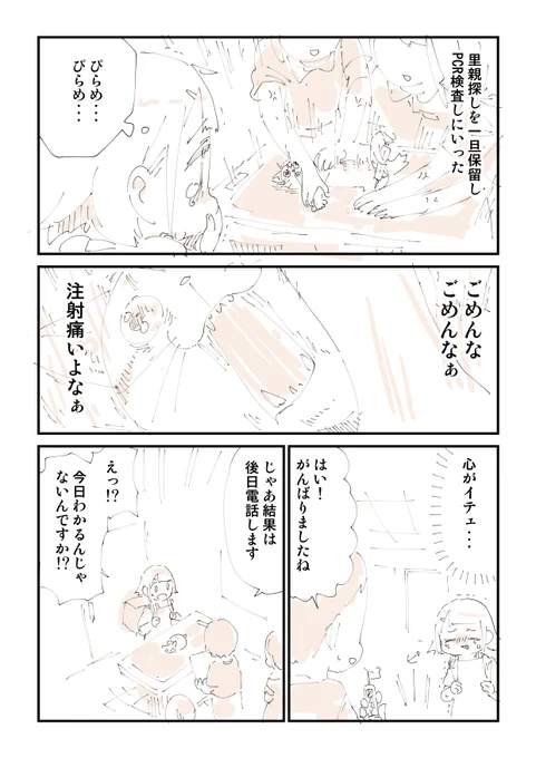猫を拾ったらメンタルがズタボロになった話 12/13 