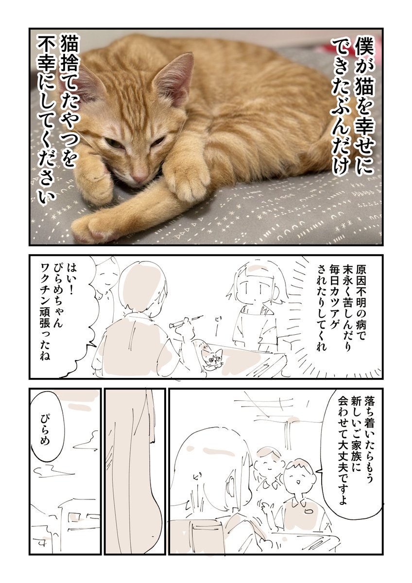 猫を拾ったらメンタルがズタボロになった話 13/13 