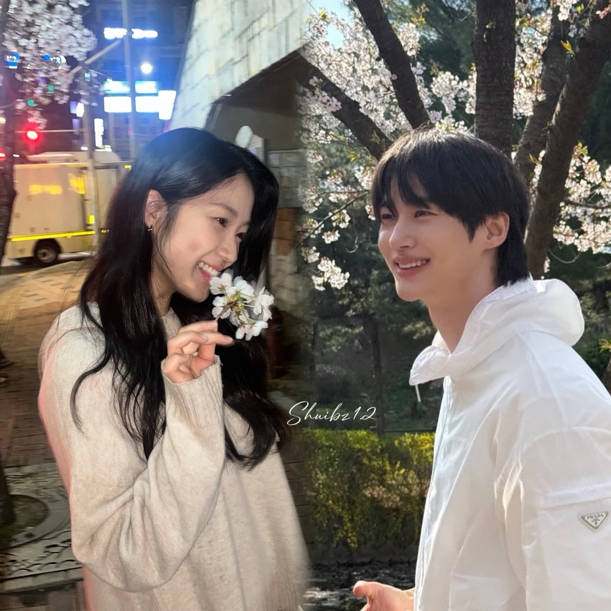 Shuibz1_2's tweet photo. 🌸💙💛 https://t.co/fFJHcEovNG