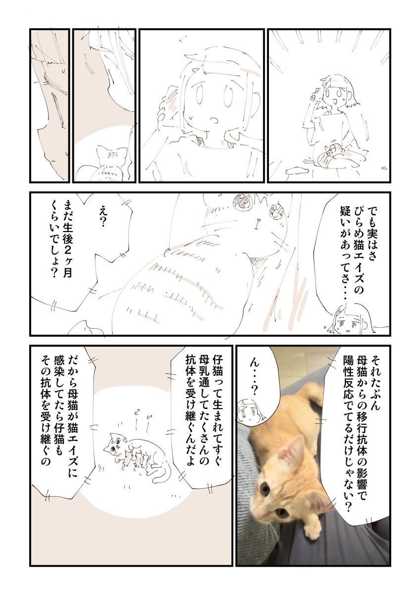 猫を拾ったらメンタルがズタボロになった話 11/13 