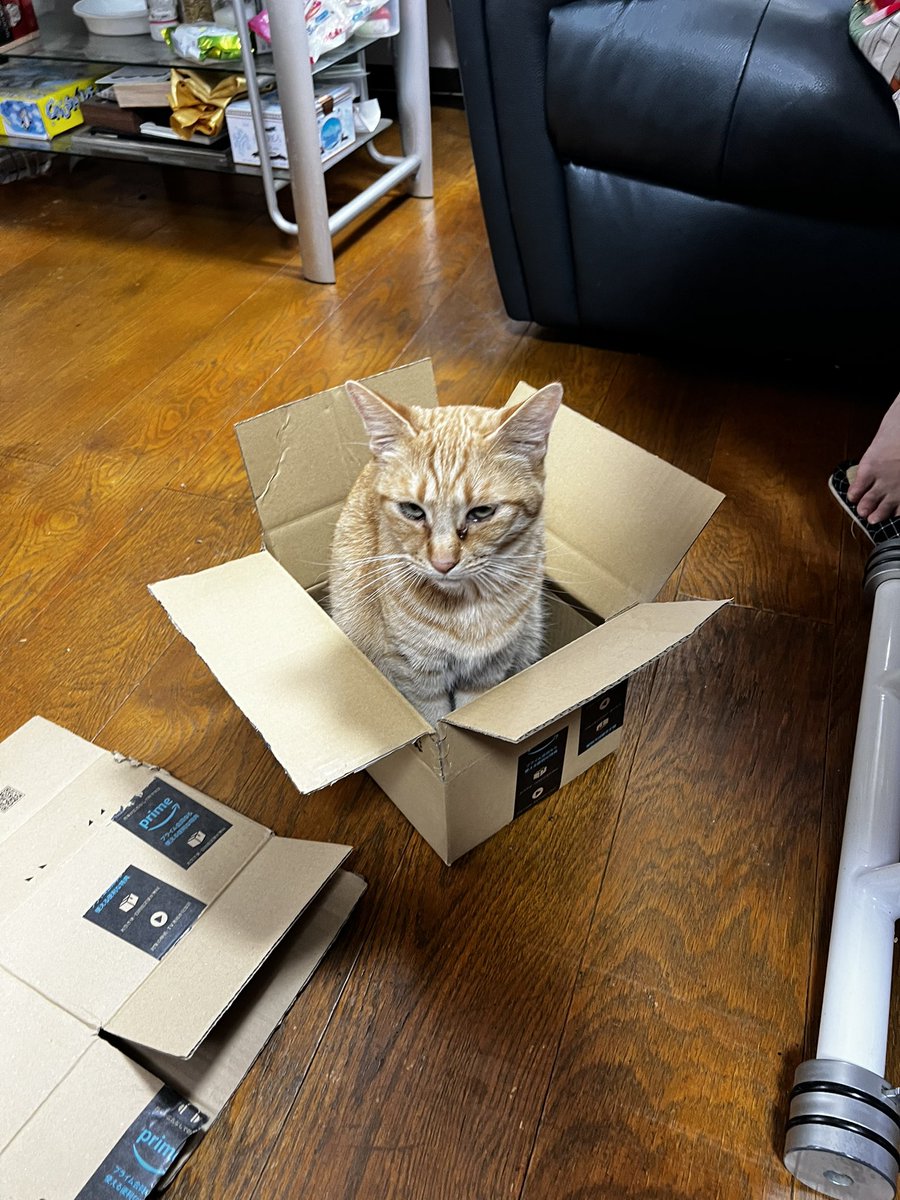 角上〜🐟
巻物はスーパー🏬