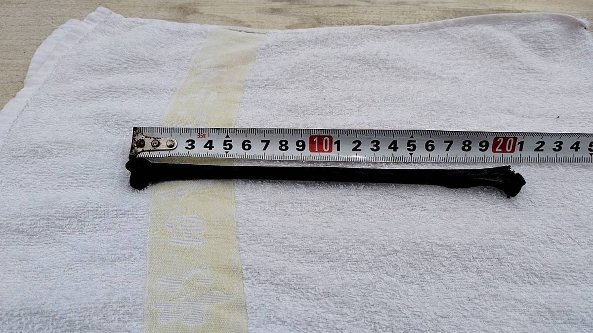 keishi_001's tweet image. 本日５月29日午前中、先日見つかったピーヤの横穴から骨が見つかった
警察が現地に午後１時に来て確認する、警察から科捜研に人がどうかまずは調べてもらうことになる