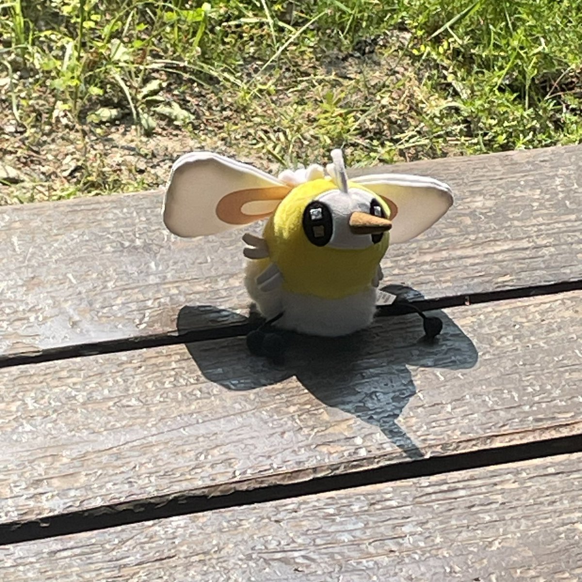 가족(갓반인) 한테 얘 어케 데려왓는지 15분설명했는데 
진짜 오타쿠같다는거임 
그래서 미안 내가 너무 오래말했지 햇더니
그게 아니라 인형보고 1개라고 안하고 계속 한마리라고 하는게 진짜 그래보였대 
근데 어케 이 혼자서도 잘앉는 기특한아기한테 인형1나개 라고 할수잇어? 갓반인은 다 싸패야?