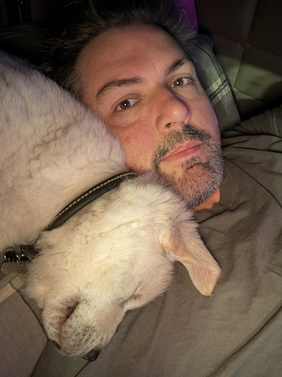 Axel (@bannedphysics) on Twitter photo 