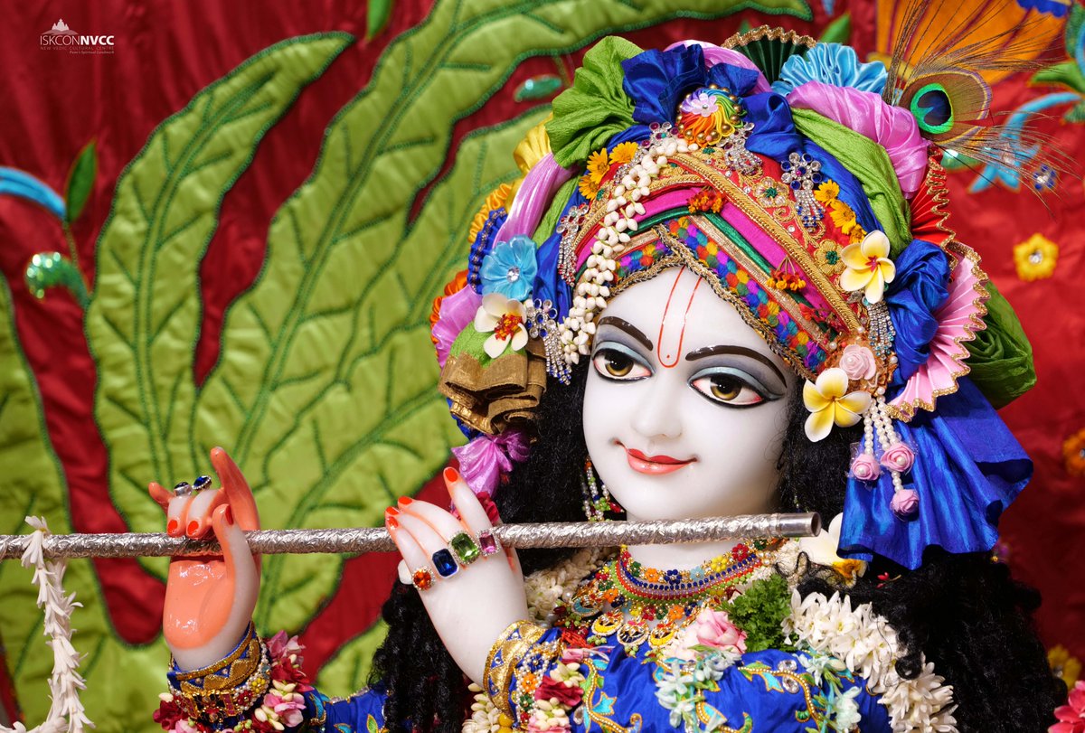 ISKCONPune's tweet photo. 🙏🏽Today's Darshan 📿 🗓29-05-2025🙏
🌷Sri Sri Radhavrindavanchandra🌷
🚩@ISKCONNVCCPune🚩
.
.
#ISKCON #ISKCONNVCC #ISKCONNVCCPune #ISKCONPune
#29thmay #29thmay2025 #Thursday #Vrindavan
#Harinaamsankirtan #Radheshyamdas #Radheradhe
#Sankirtan #Kirtan #Mayapur #Prabhupada https://t.co/SOp8yJFD0H